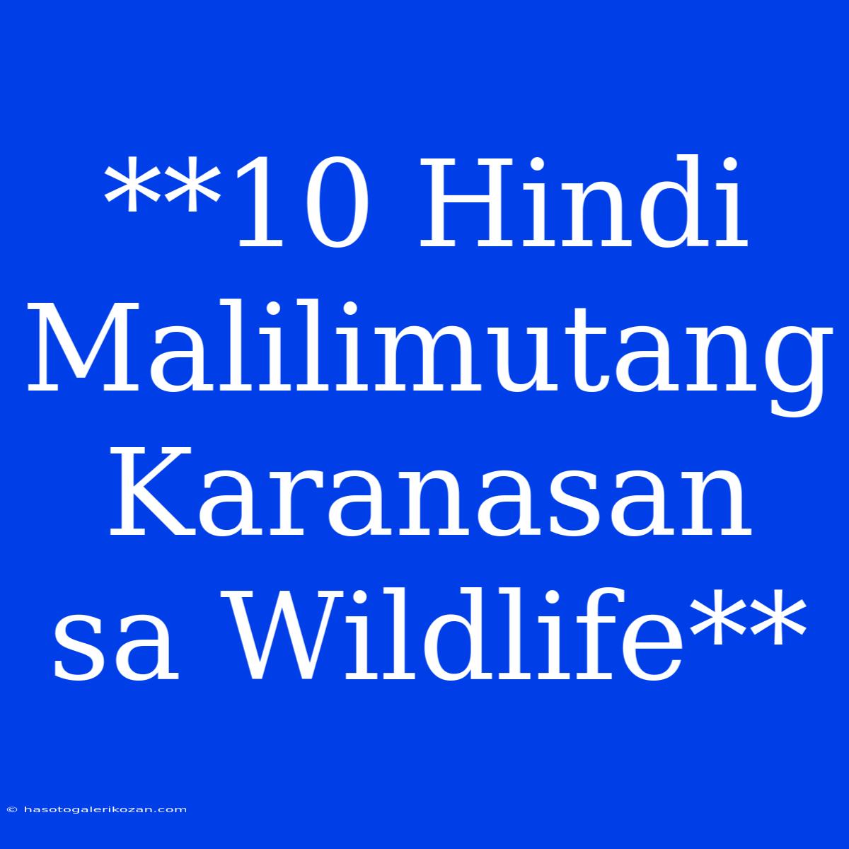 **10 Hindi Malilimutang Karanasan Sa Wildlife**