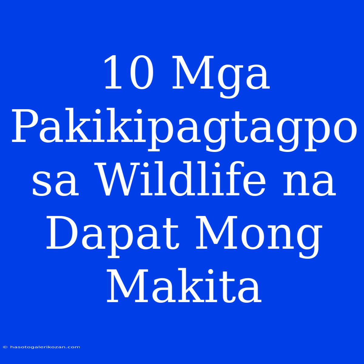 10 Mga Pakikipagtagpo Sa Wildlife Na Dapat Mong Makita