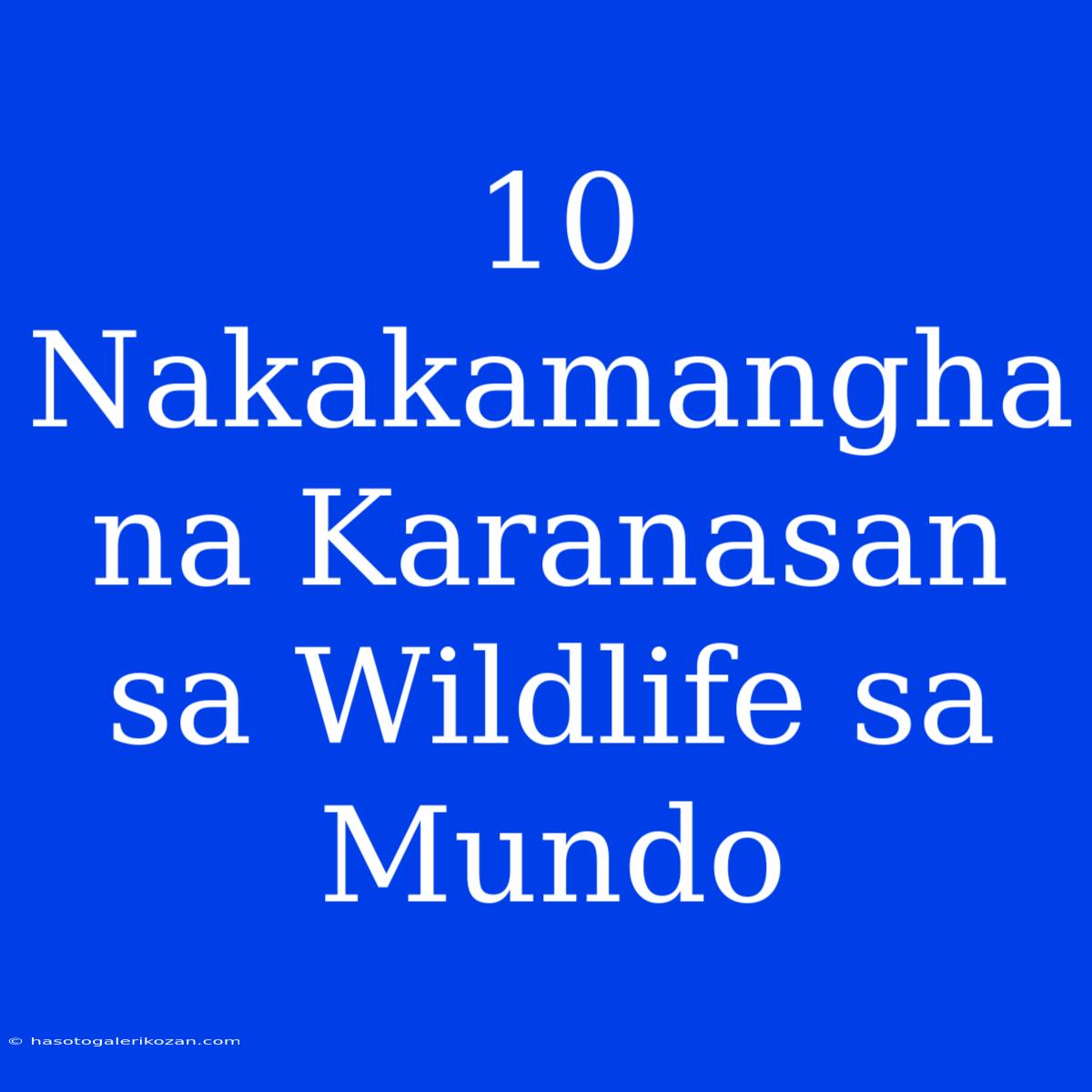 10 Nakakamangha Na Karanasan Sa Wildlife Sa Mundo