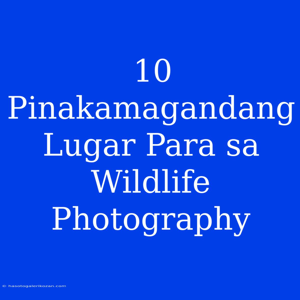 10 Pinakamagandang Lugar Para Sa Wildlife Photography