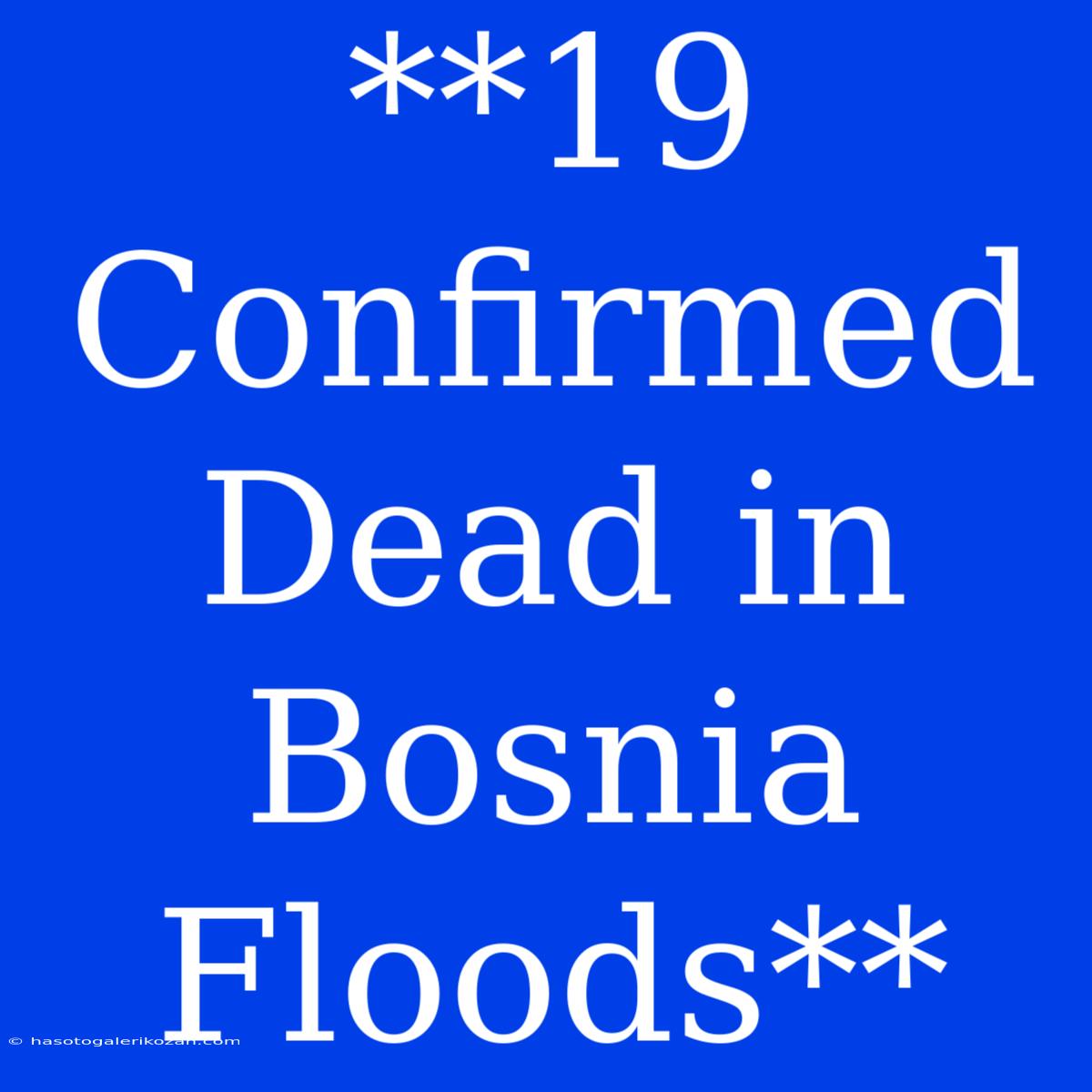 **19 Confirmed Dead In Bosnia Floods**