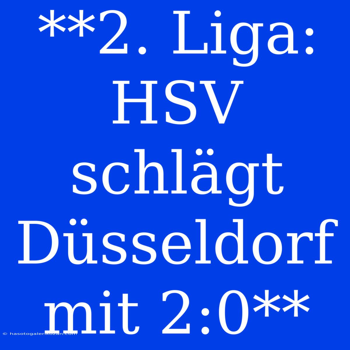 **2. Liga: HSV Schlägt Düsseldorf Mit 2:0**