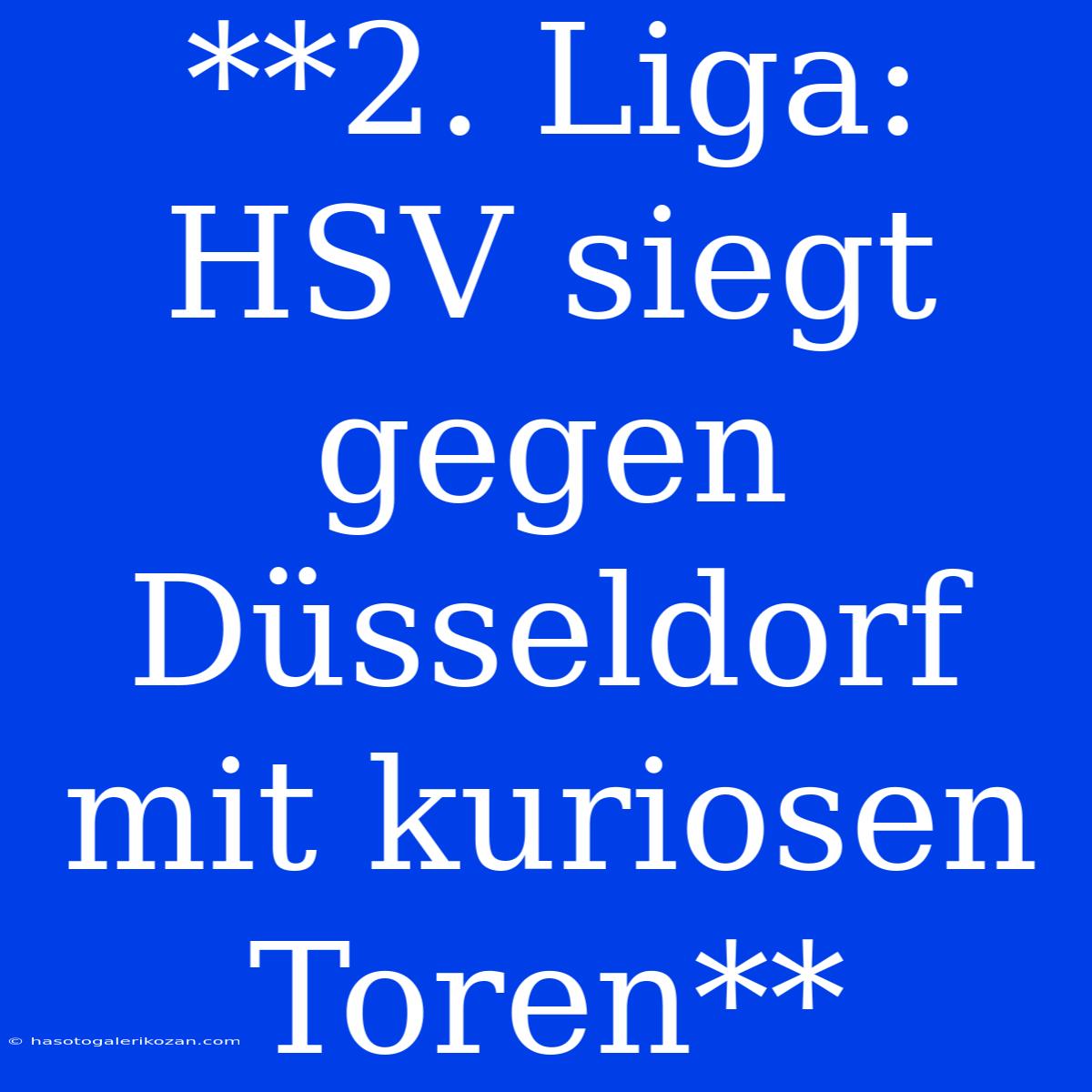 **2. Liga: HSV Siegt Gegen Düsseldorf Mit Kuriosen Toren**