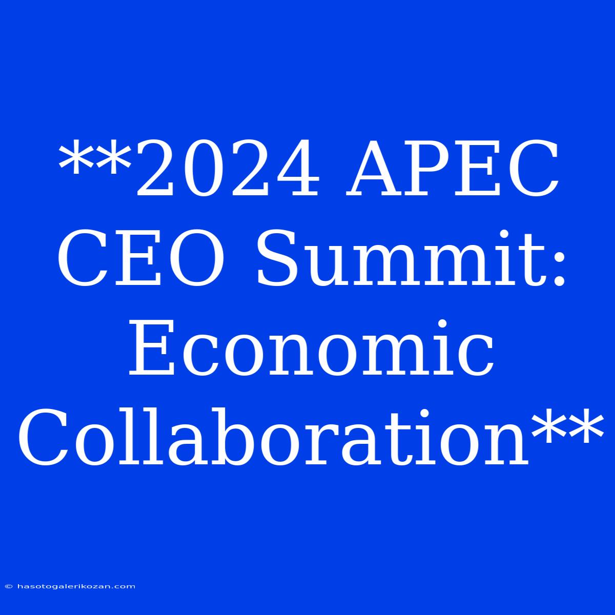 **2024 APEC CEO Summit: Economic Collaboration**