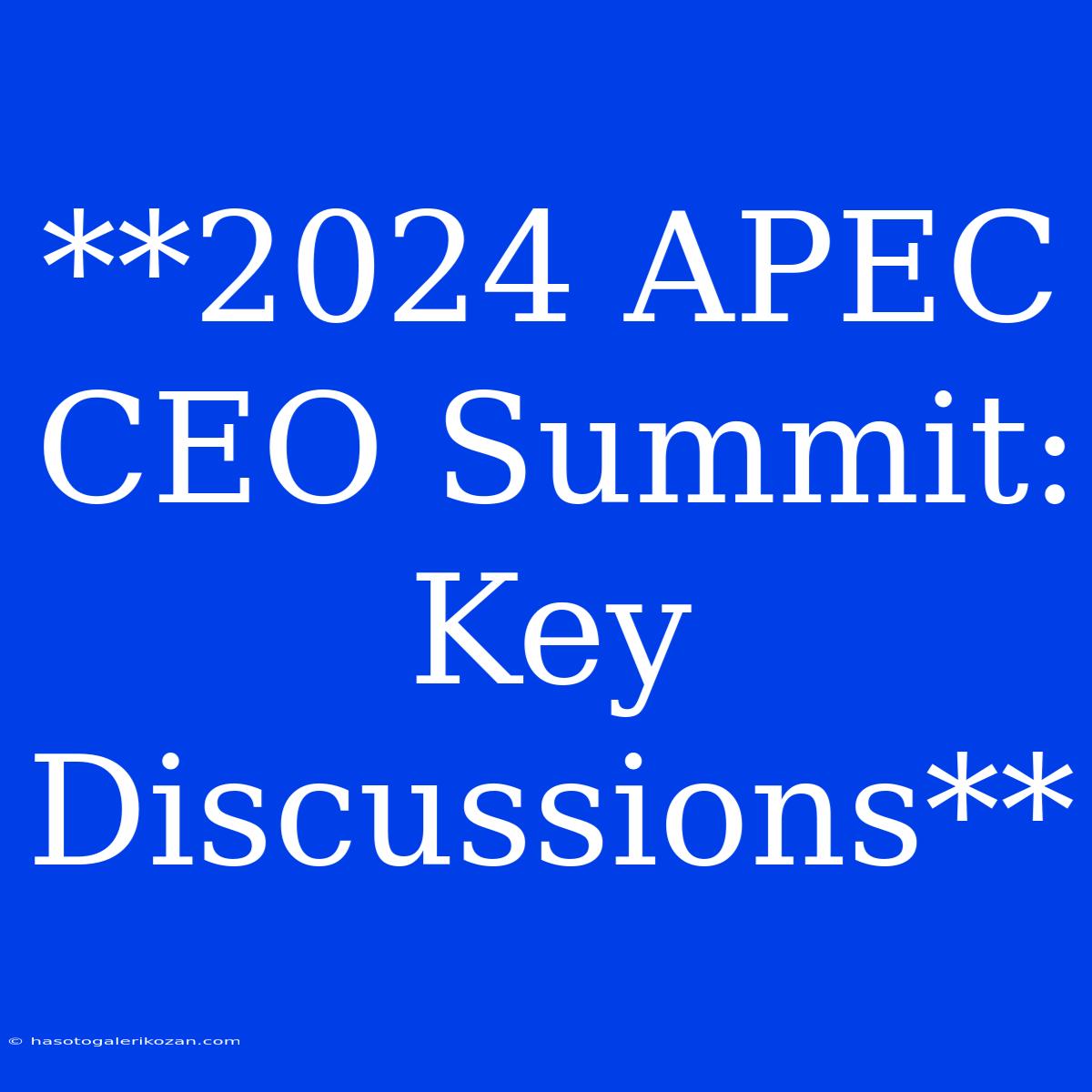 **2024 APEC CEO Summit: Key Discussions**