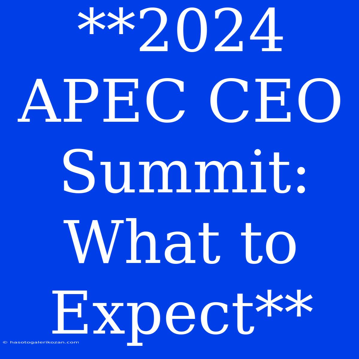 **2024 APEC CEO Summit: What To Expect**