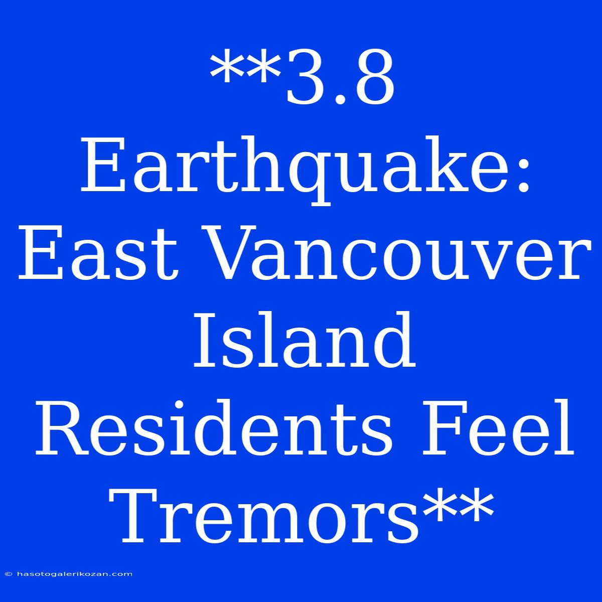 **3.8 Earthquake: East Vancouver Island Residents Feel Tremors**