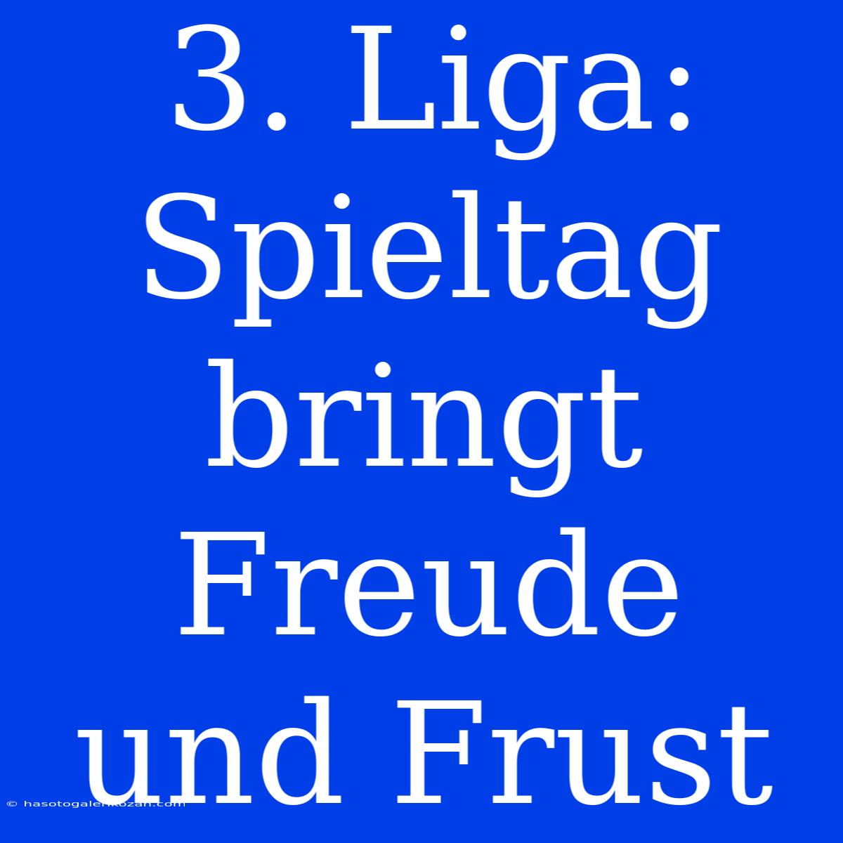 3. Liga: Spieltag Bringt Freude Und Frust