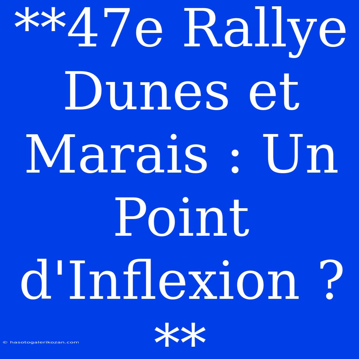 **47e Rallye Dunes Et Marais : Un Point D'Inflexion ?**