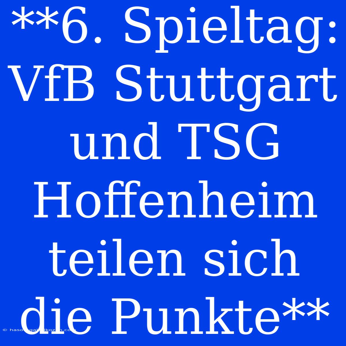 **6. Spieltag: VfB Stuttgart Und TSG Hoffenheim Teilen Sich Die Punkte**