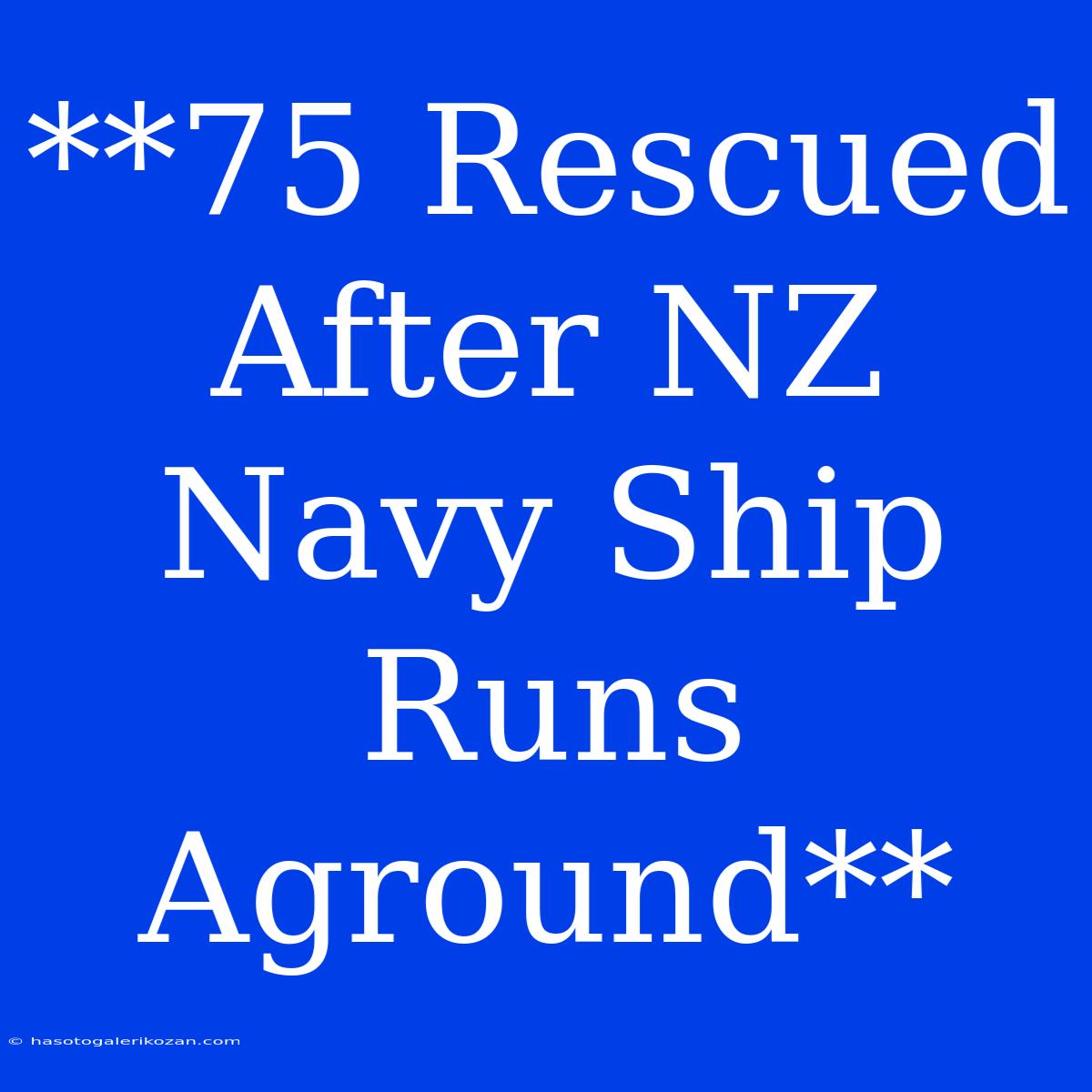 **75 Rescued After NZ Navy Ship Runs Aground**