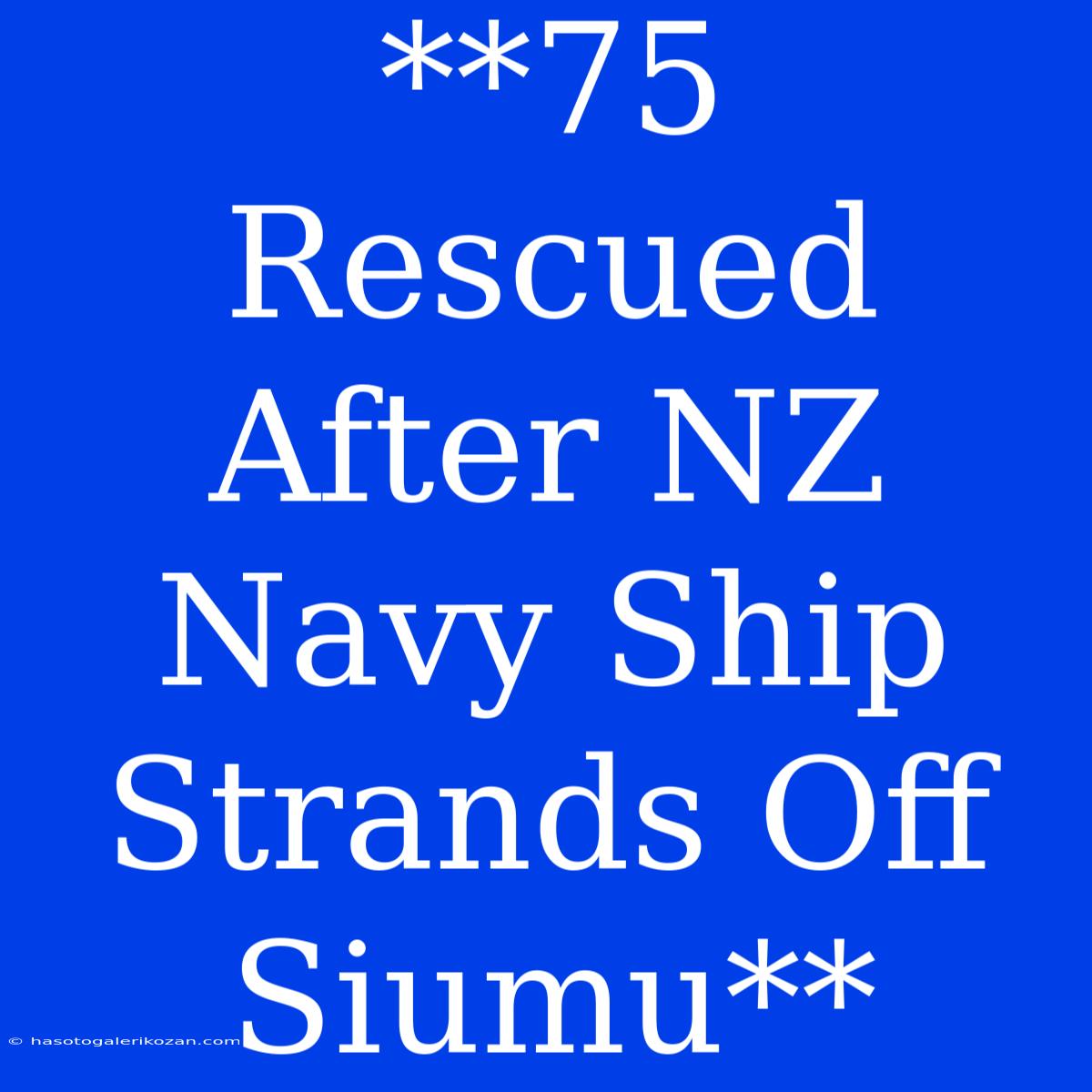 **75 Rescued After NZ Navy Ship Strands Off Siumu**