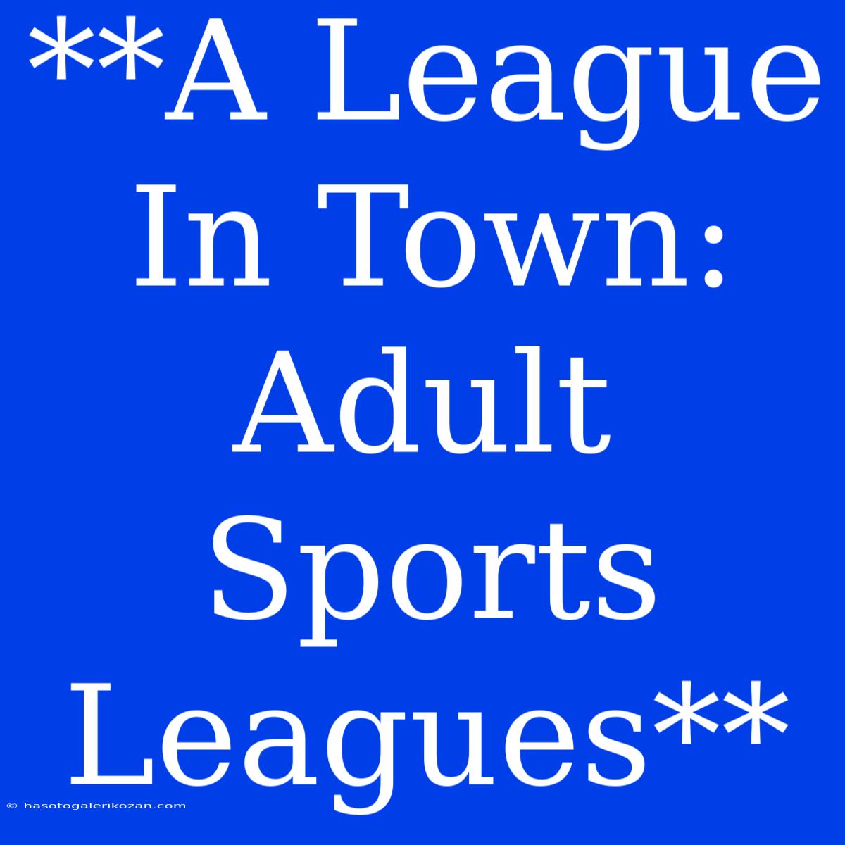 **A League In Town: Adult Sports Leagues**