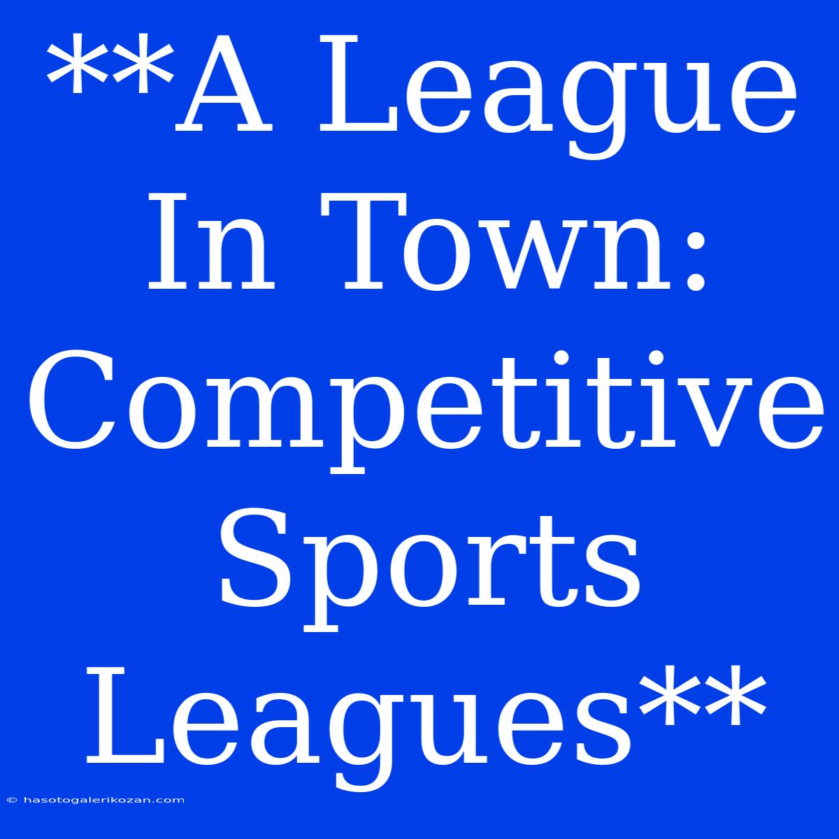 **A League In Town: Competitive Sports Leagues**