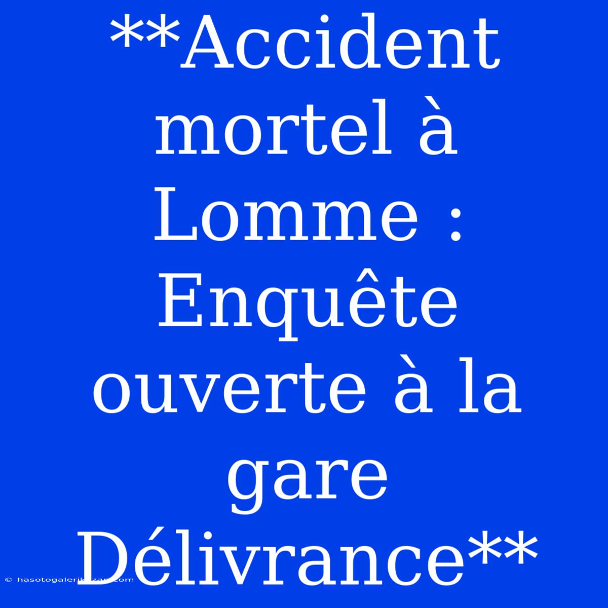 **Accident Mortel À Lomme : Enquête Ouverte À La Gare Délivrance**