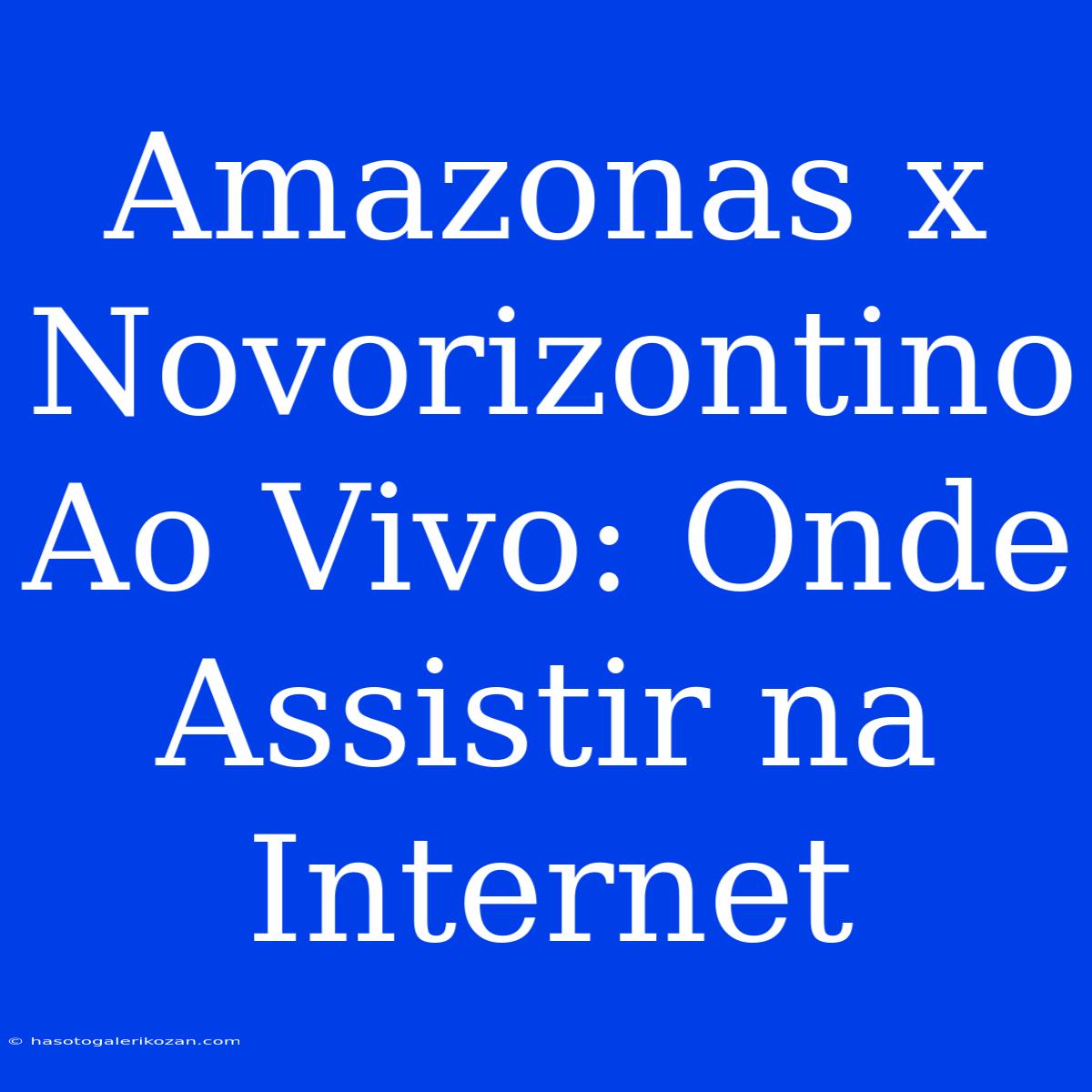 Amazonas X Novorizontino Ao Vivo: Onde Assistir Na Internet