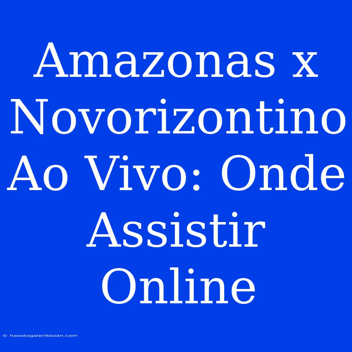 Amazonas X Novorizontino Ao Vivo: Onde Assistir Online