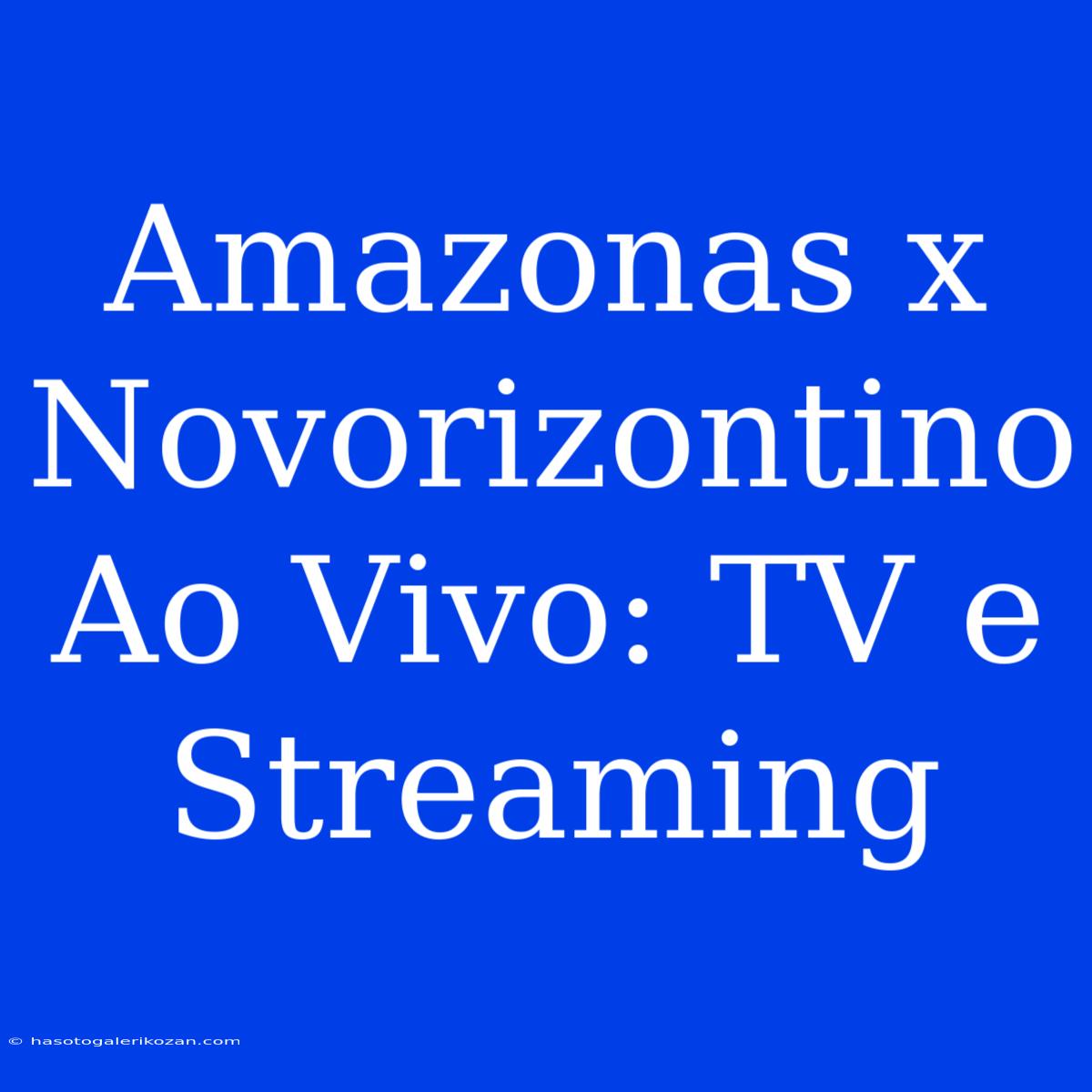 Amazonas X Novorizontino Ao Vivo: TV E Streaming