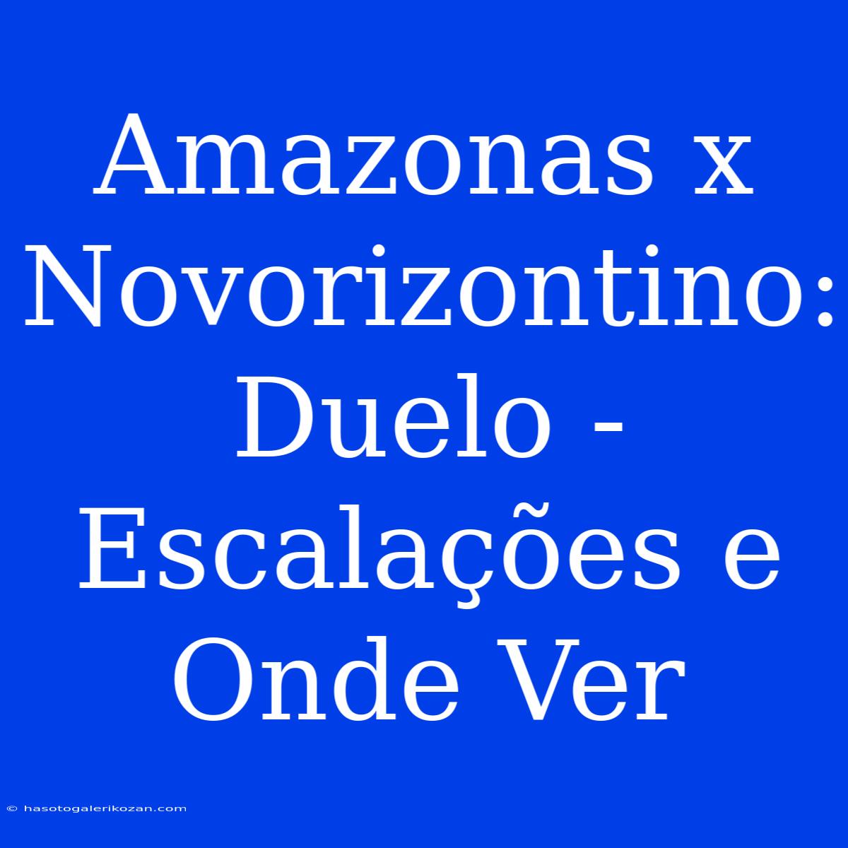 Amazonas X Novorizontino: Duelo - Escalações E Onde Ver