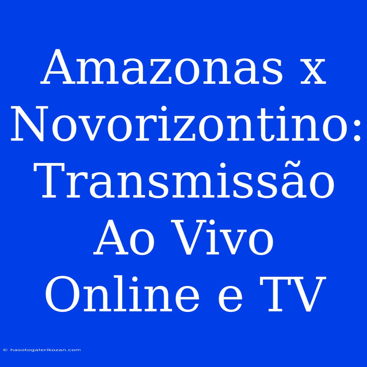 Amazonas X Novorizontino: Transmissão Ao Vivo Online E TV 