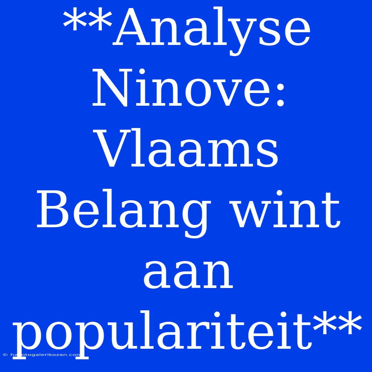 **Analyse Ninove: Vlaams Belang Wint Aan Populariteit**