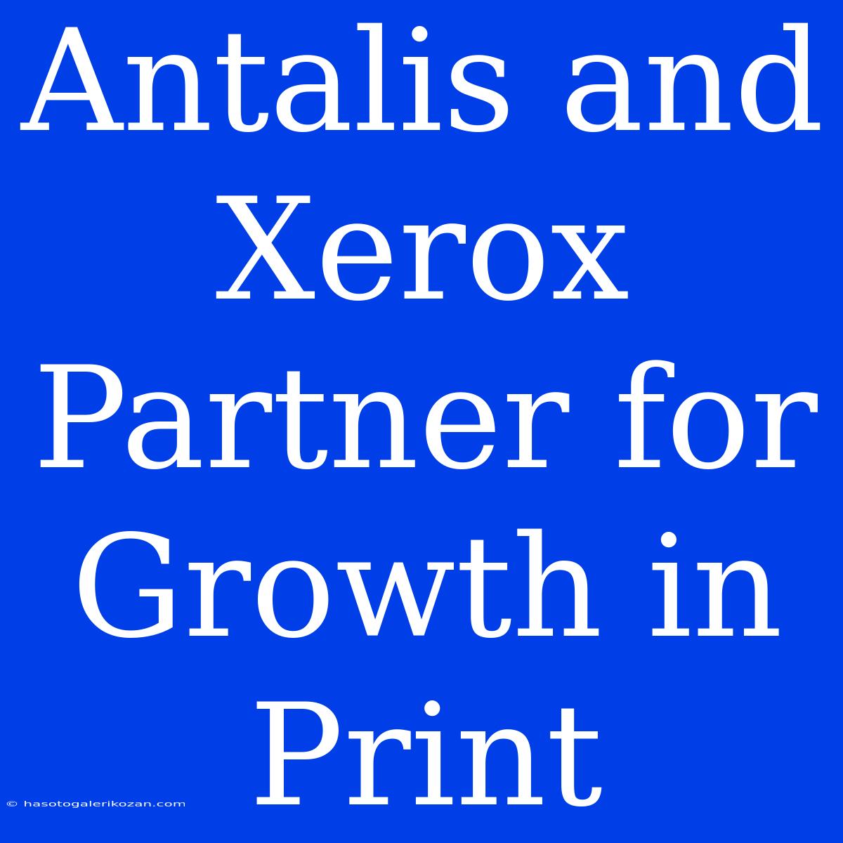 Antalis And Xerox Partner For Growth In Print