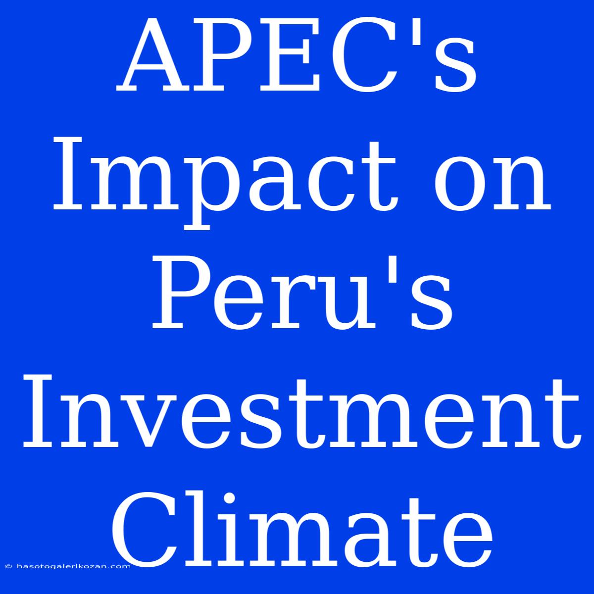 APEC's Impact On Peru's Investment Climate