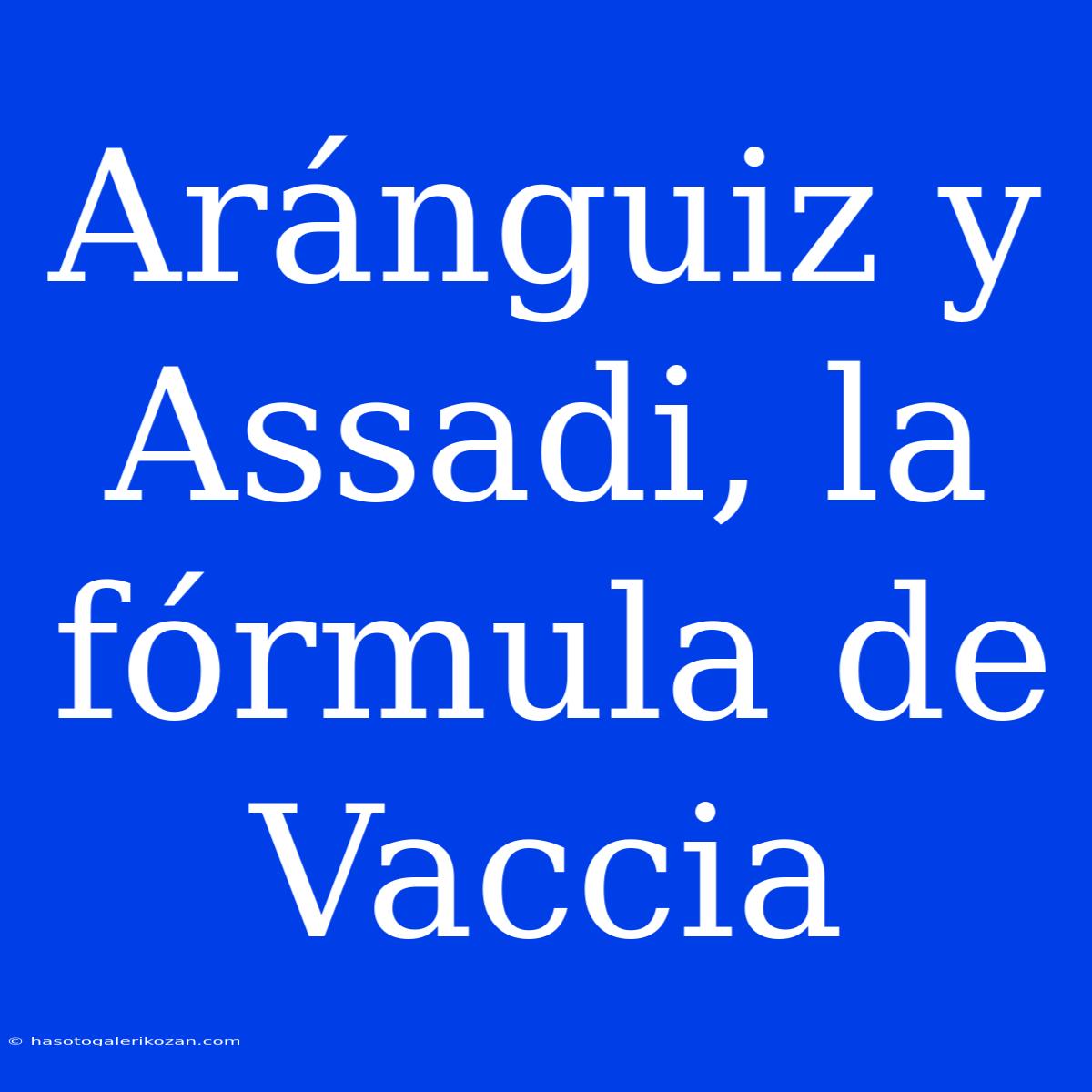 Aránguiz Y Assadi, La Fórmula De Vaccia