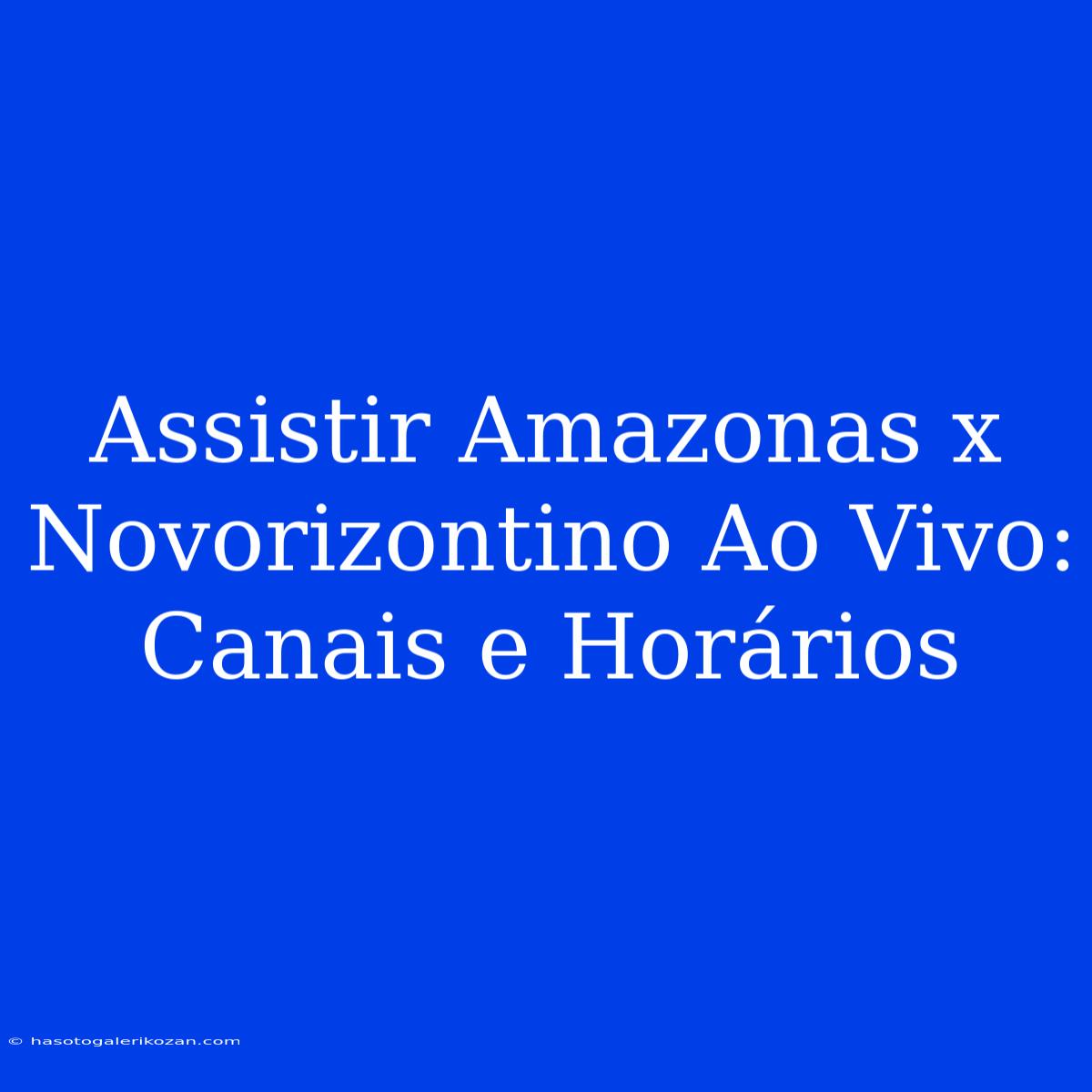 Assistir Amazonas X Novorizontino Ao Vivo: Canais E Horários