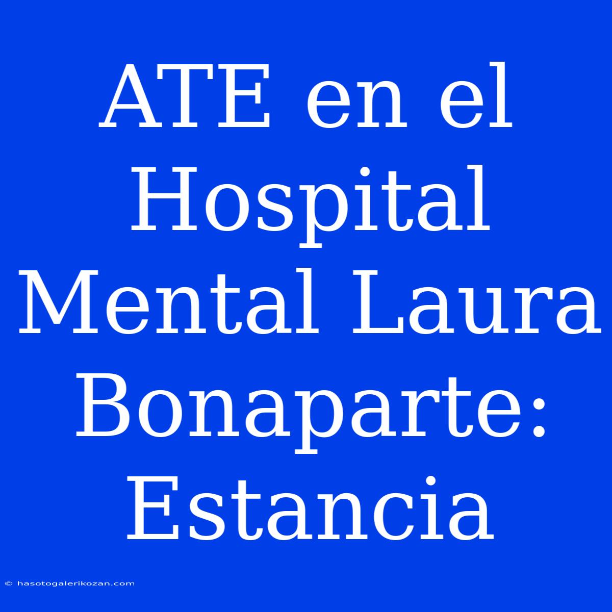 ATE En El Hospital Mental Laura Bonaparte: Estancia