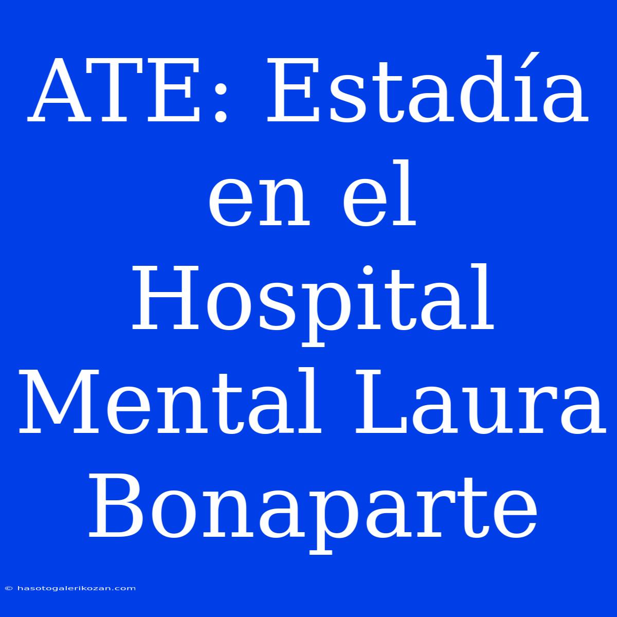 ATE: Estadía En El Hospital Mental Laura Bonaparte