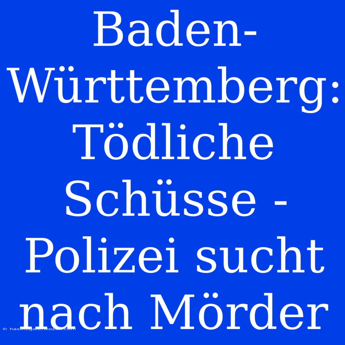 Baden-Württemberg: Tödliche Schüsse - Polizei Sucht Nach Mörder