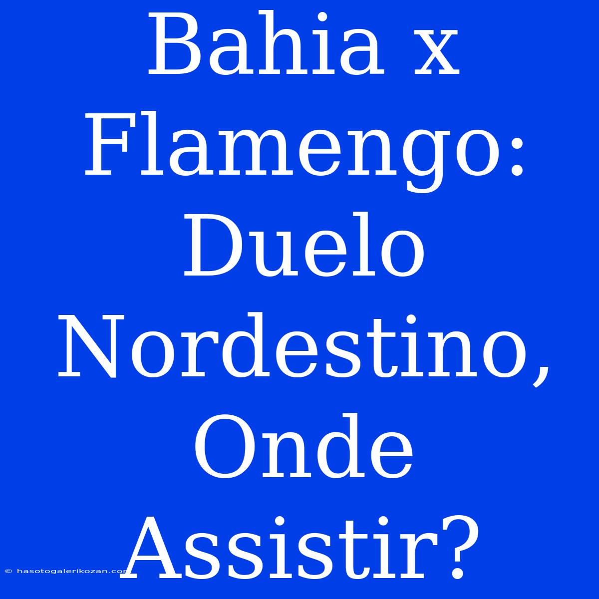 Bahia X Flamengo: Duelo Nordestino, Onde Assistir?