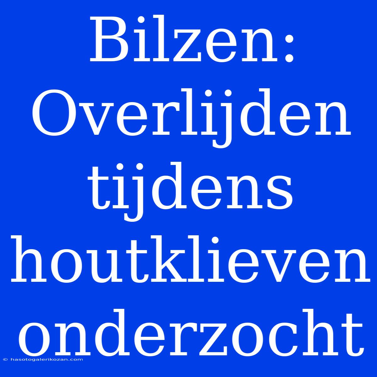 Bilzen: Overlijden Tijdens Houtklieven Onderzocht 