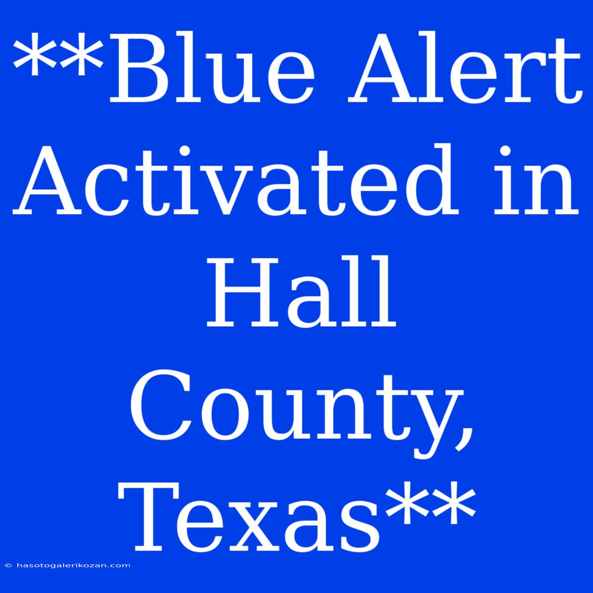 **Blue Alert Activated In Hall County, Texas**