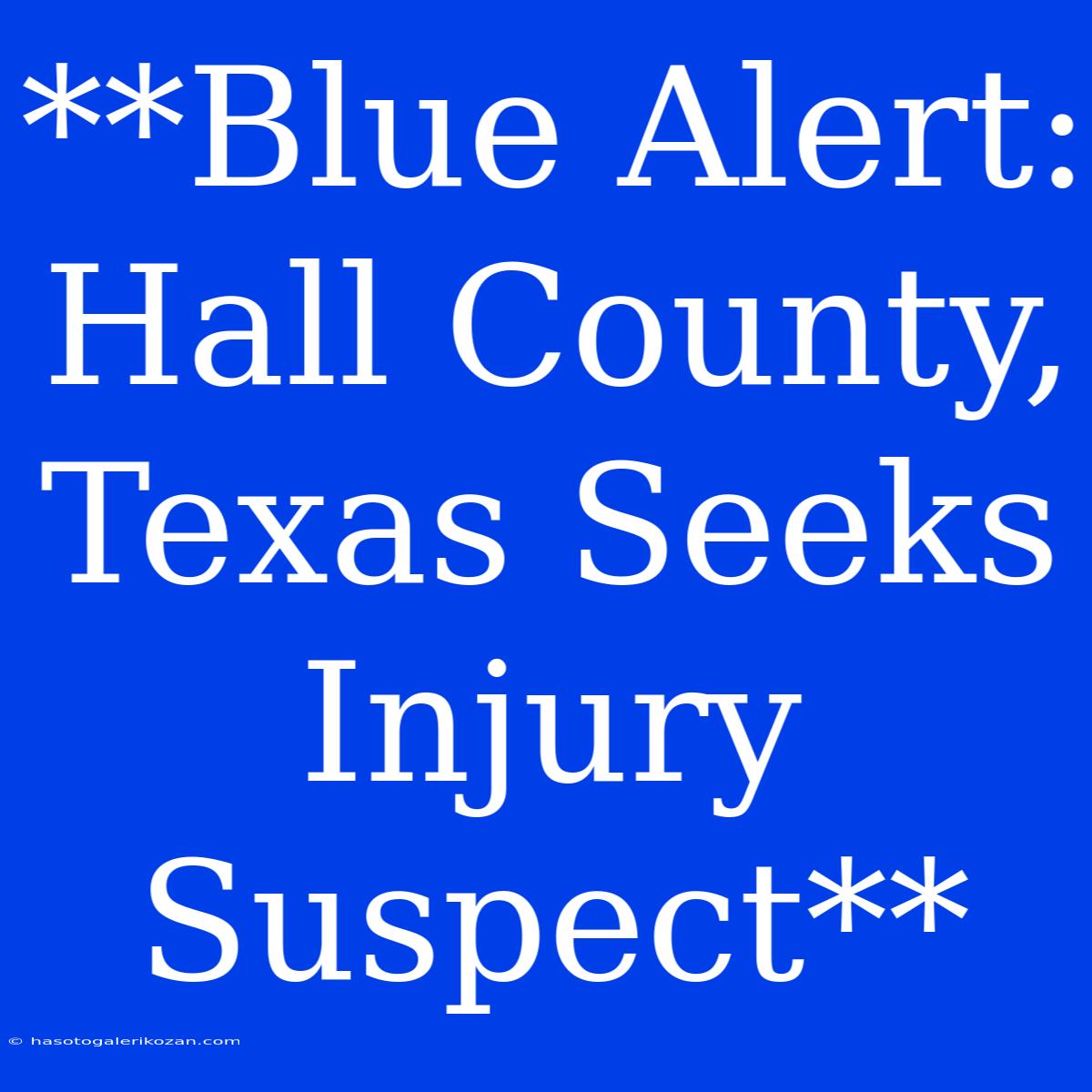 **Blue Alert: Hall County, Texas Seeks Injury Suspect**