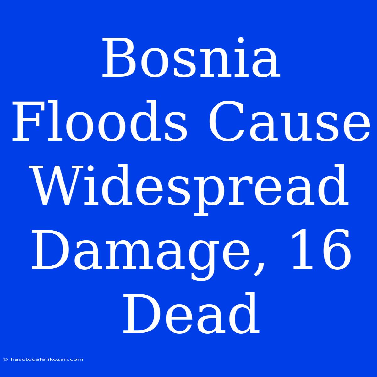 Bosnia Floods Cause Widespread Damage, 16 Dead 