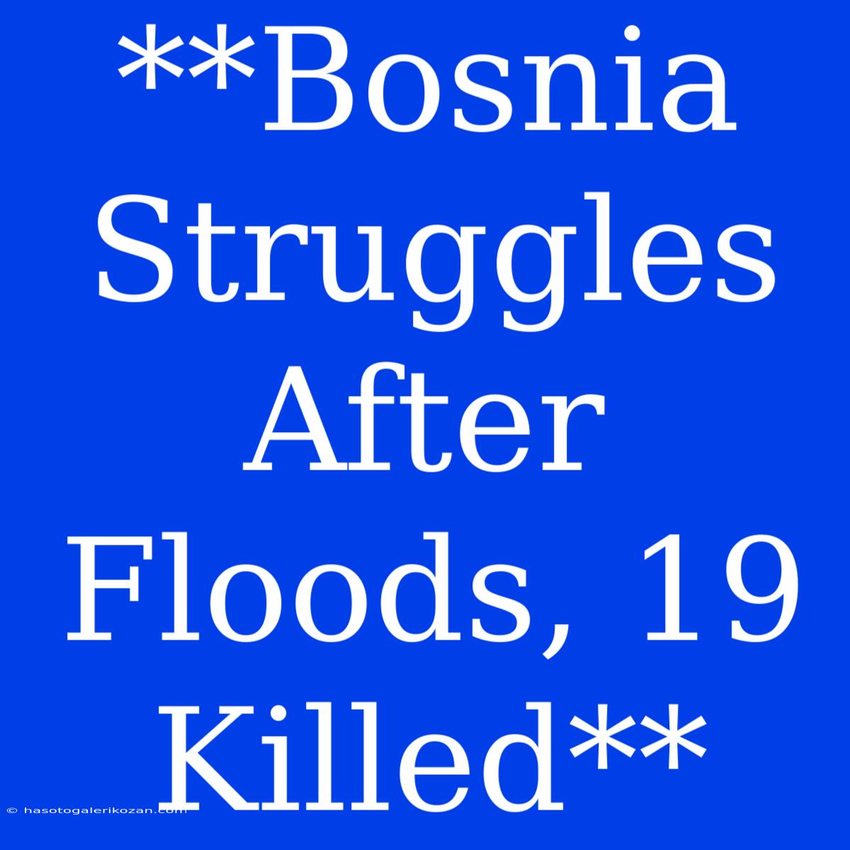 **Bosnia Struggles After Floods, 19 Killed**