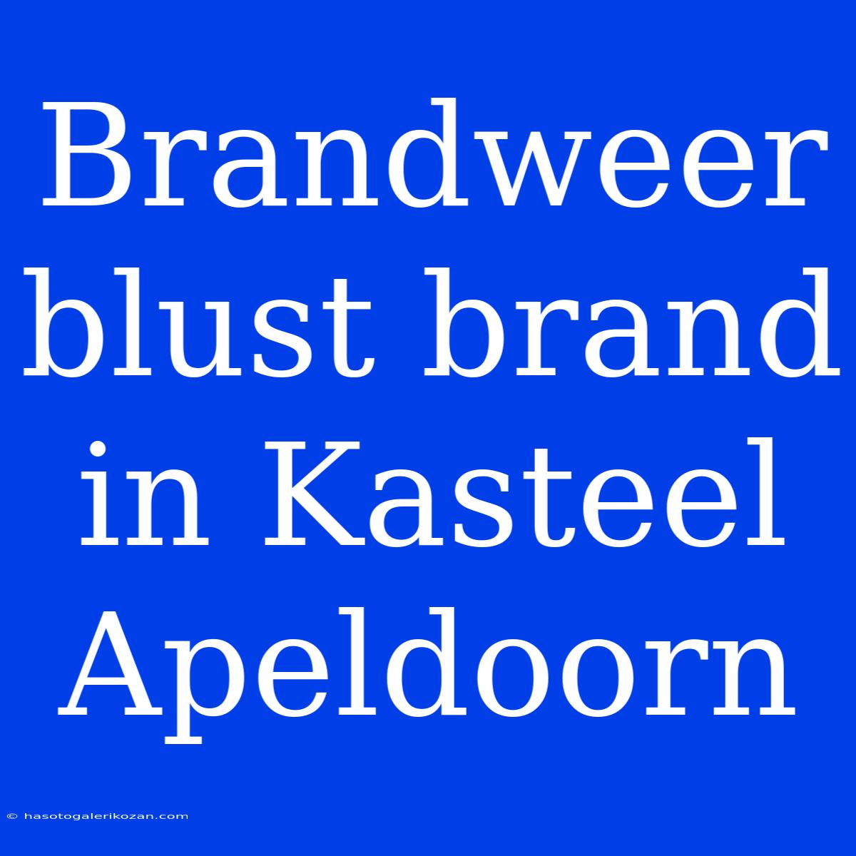 Brandweer Blust Brand In Kasteel Apeldoorn