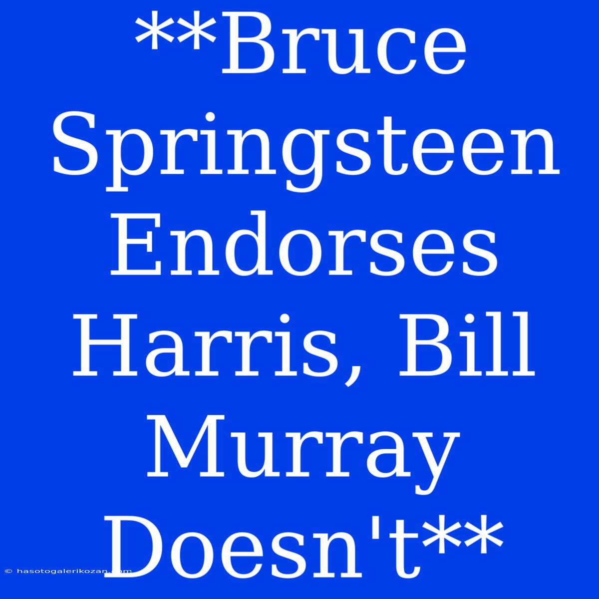 **Bruce Springsteen Endorses Harris, Bill Murray Doesn't**