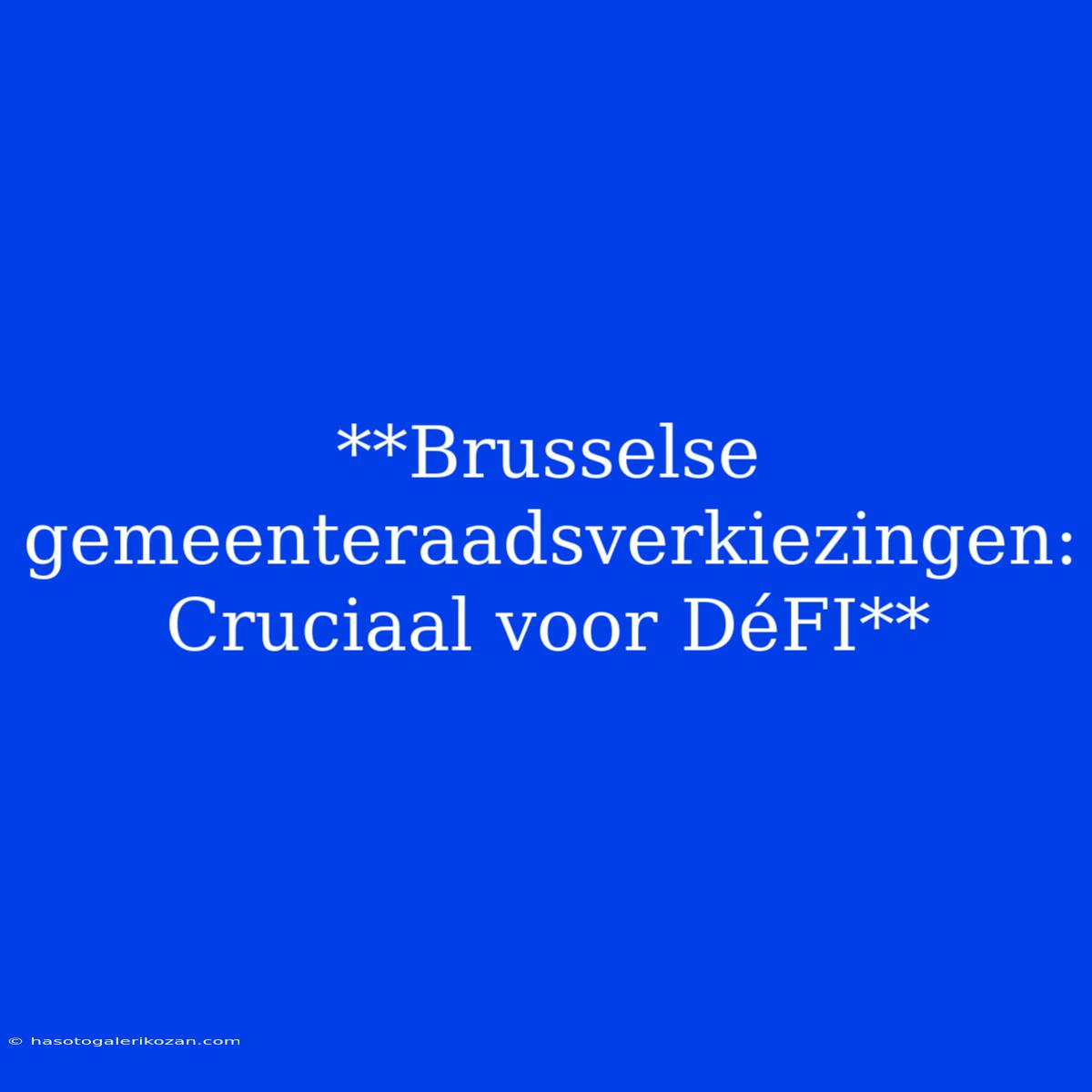 **Brusselse Gemeenteraadsverkiezingen: Cruciaal Voor DéFI**