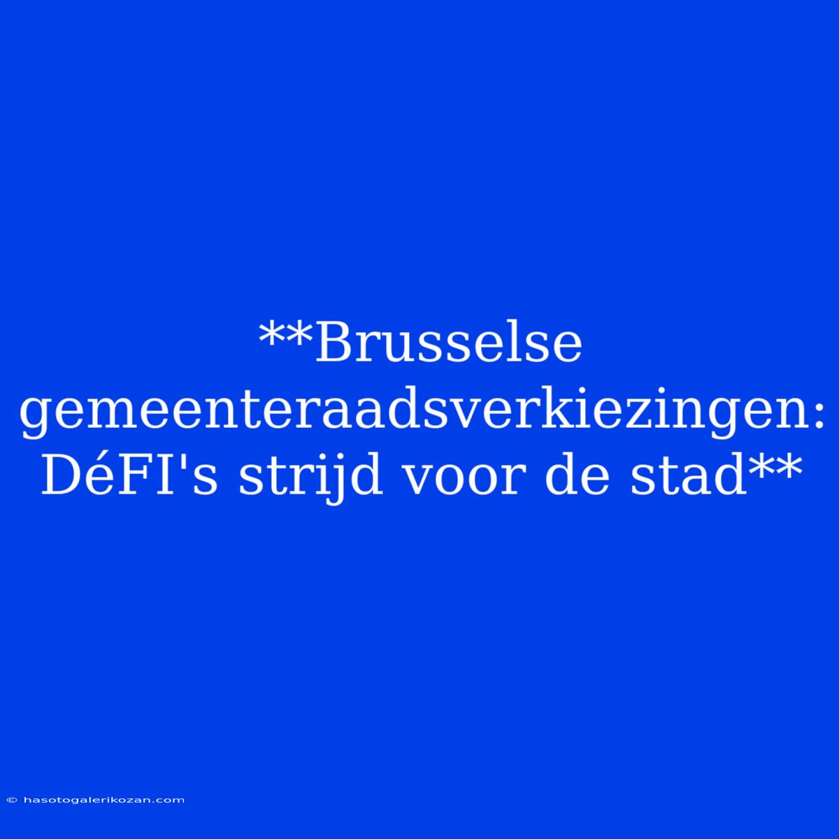 **Brusselse Gemeenteraadsverkiezingen: DéFI's Strijd Voor De Stad** 