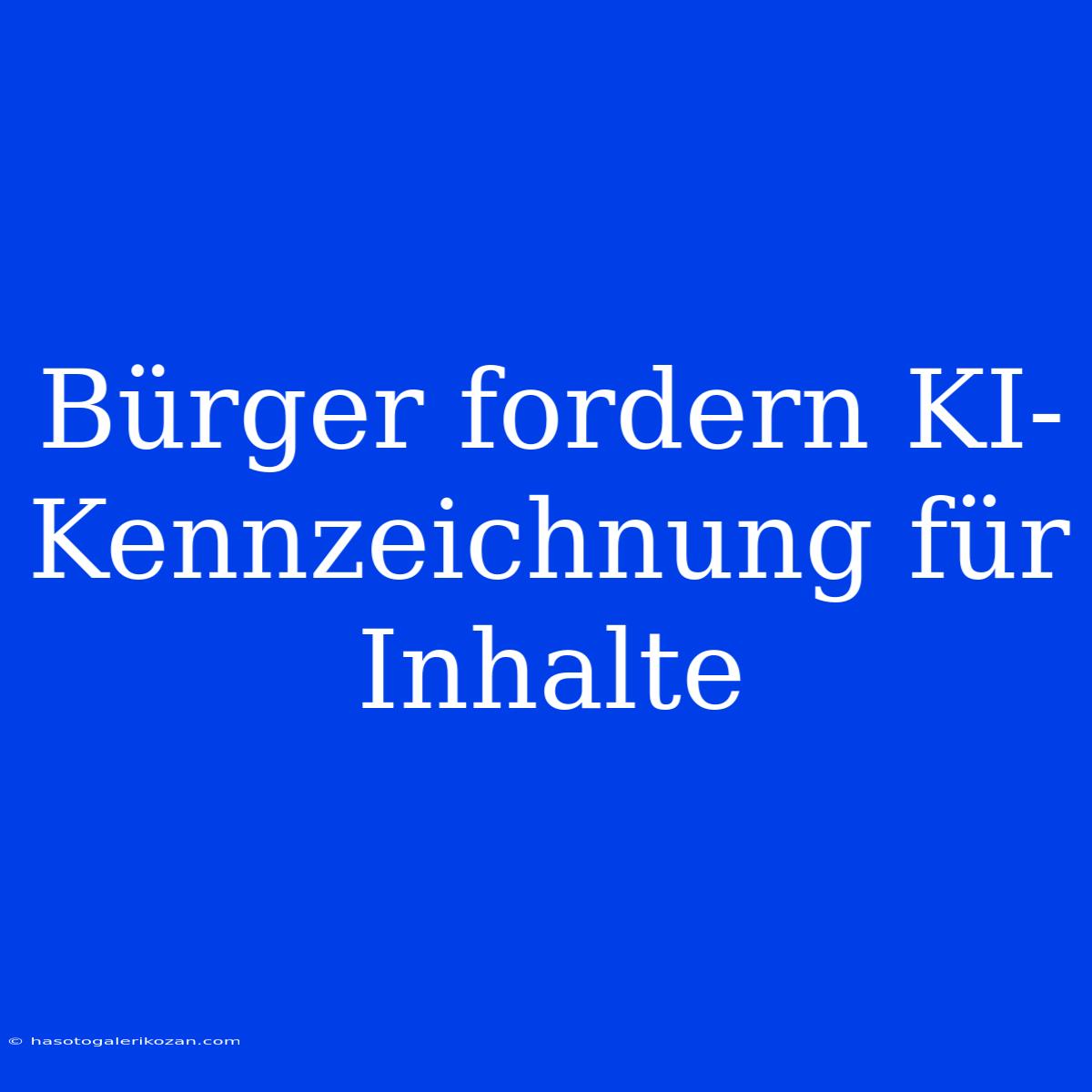 Bürger Fordern KI-Kennzeichnung Für Inhalte