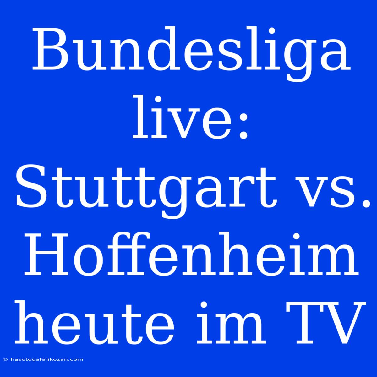 Bundesliga Live: Stuttgart Vs. Hoffenheim Heute Im TV