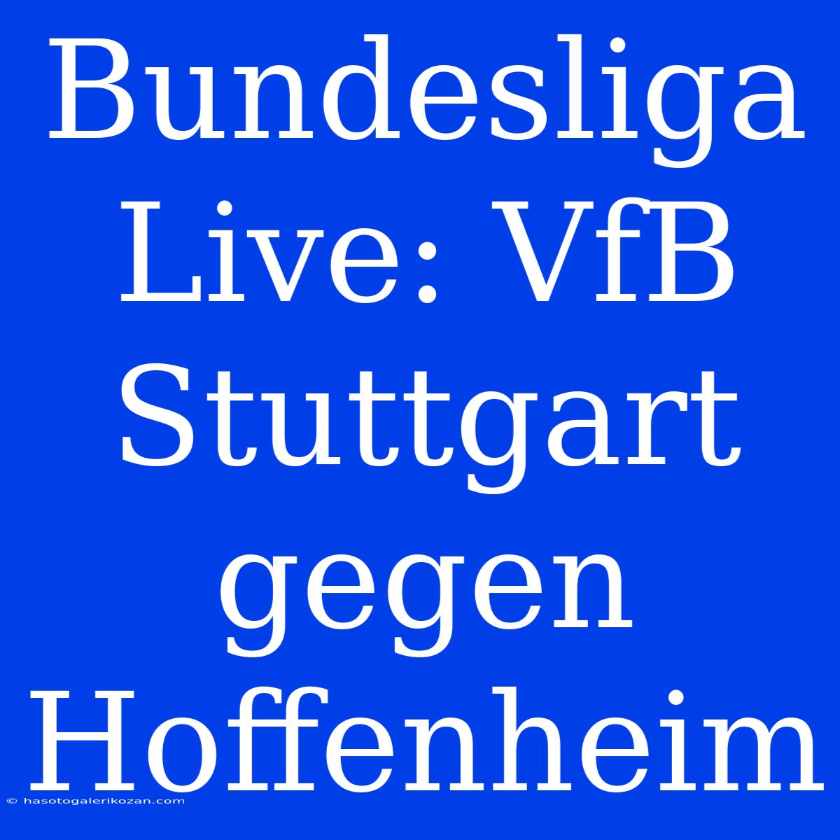 Bundesliga Live: VfB Stuttgart Gegen Hoffenheim