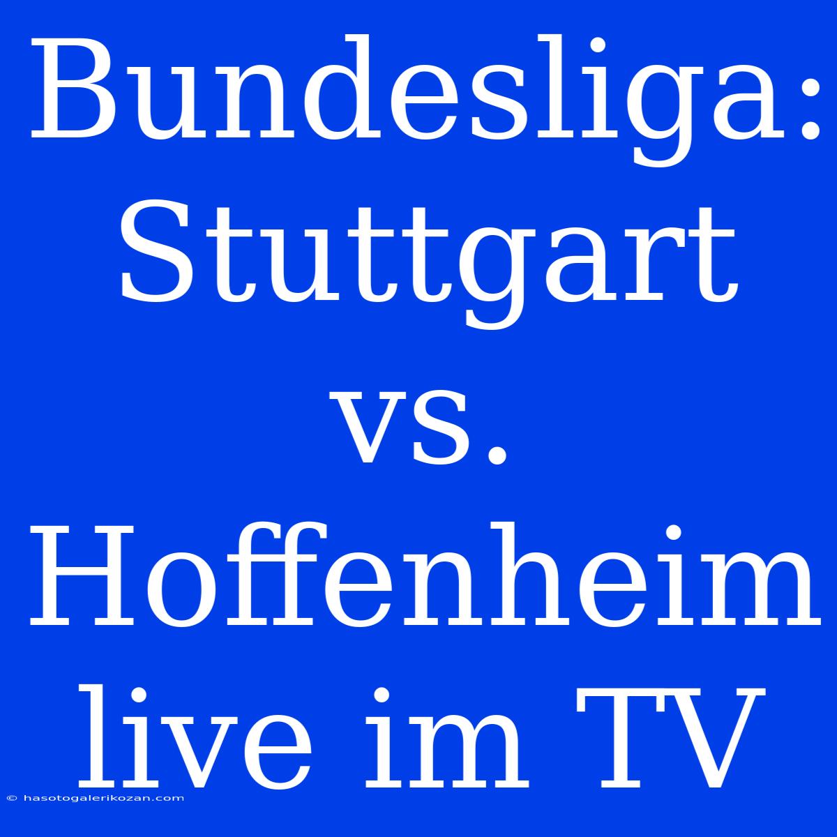 Bundesliga: Stuttgart Vs. Hoffenheim Live Im TV