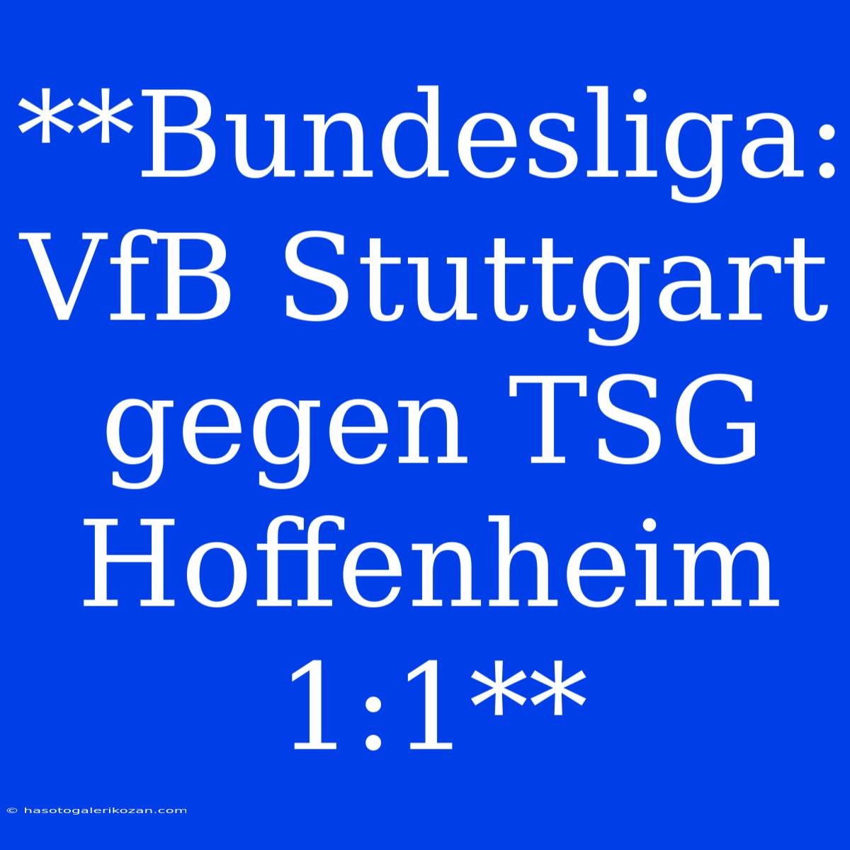 **Bundesliga: VfB Stuttgart Gegen TSG Hoffenheim 1:1**