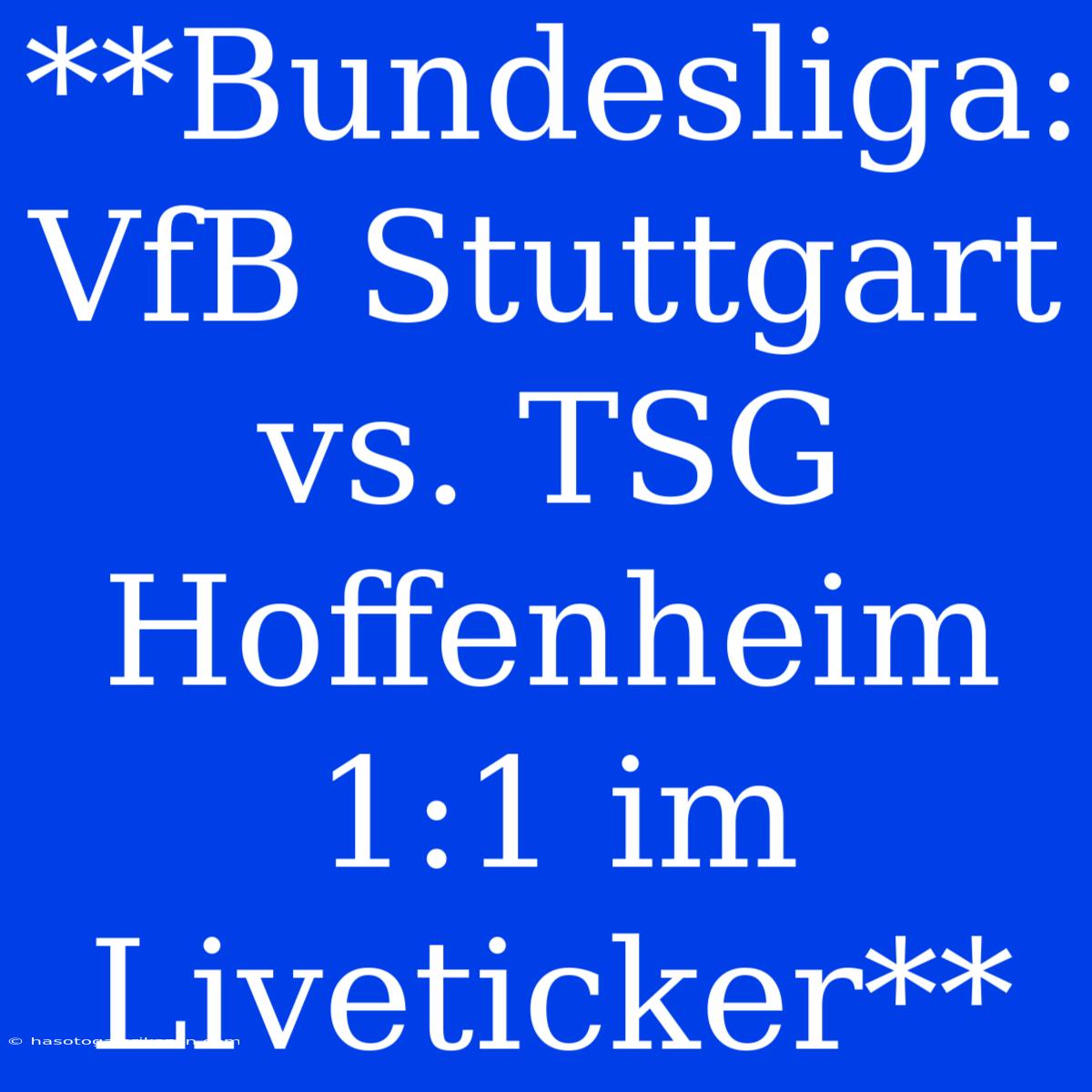 **Bundesliga: VfB Stuttgart Vs. TSG Hoffenheim 1:1 Im Liveticker**