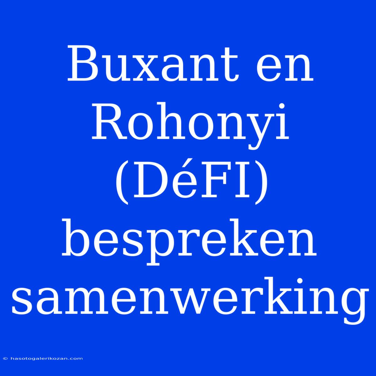 Buxant En Rohonyi (DéFI) Bespreken Samenwerking