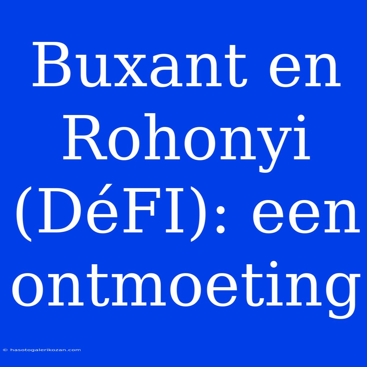 Buxant En Rohonyi (DéFI): Een Ontmoeting